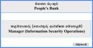Manager - Information Security Operations