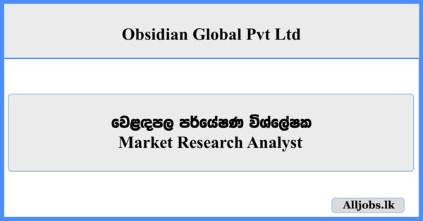 Market Research Analyst - Obsidian Global Pvt Ltd