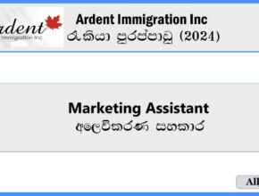 Marketing-Assistant-Ardent-Immigration-Inc-Job-Vacancies-2024