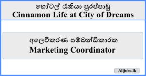 Marketing Coordinator - Cinnamon Life at City of Dreams