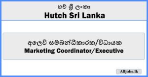 Marketing Coordinator Executive-Hutch
