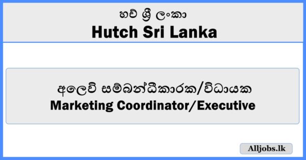 Marketing Coordinator Executive-Hutch