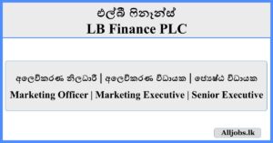 Marketing Officer Marketing Executive Senior Executive - LB Finance
