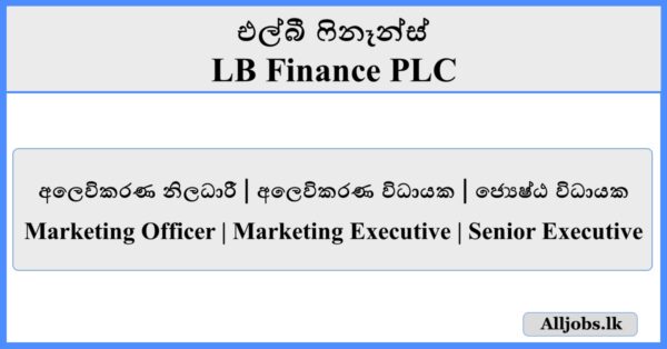Marketing Officer Marketing Executive Senior Executive - LB Finance