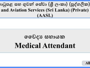 Medical Attendant - Airport and Aviation Services