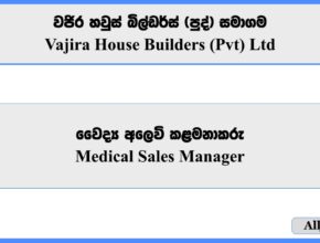 Medical Sales Manager - Vajira House Builders (Pvt) Ltd