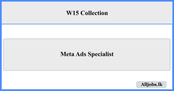 Meta Ads Specialist - W15 Collection