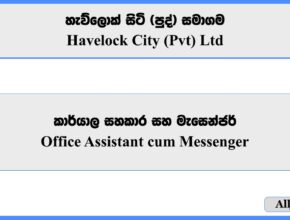 Office Assistant cum Messenger - Havelock City (Pvt) Ltd