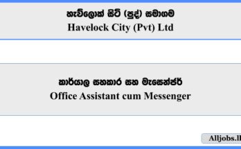 Office Assistant cum Messenger - Havelock City (Pvt) Ltd