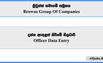 Officer Data Entry - Browns Group Of Companies