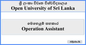 Operation Assistant- Open University