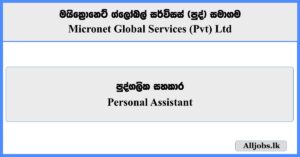 Personal Assistant - Micronet Global Services (Pvt) Ltd