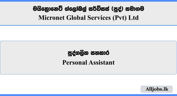 Personal Assistant - Micronet Global Services (Pvt) Ltd