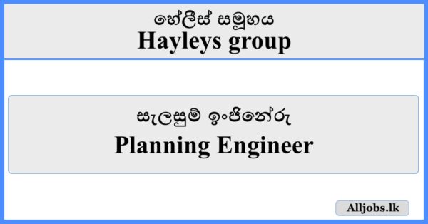 Planning Engineer - Hayleys Group
