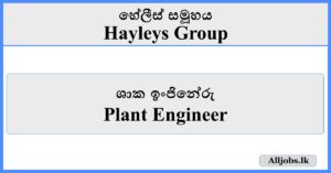 Plant Engineer - Hayleys Group