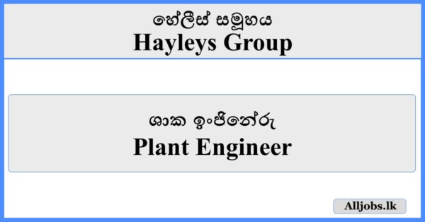 Plant Engineer - Hayleys Group