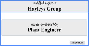 Plant Engineer- Hayleys Group