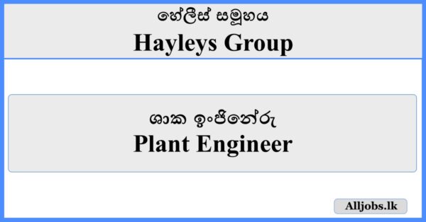 Plant Engineer- Hayleys Group