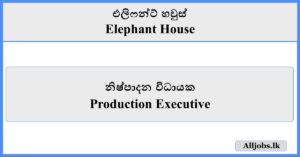 Production Executive - Elephant House