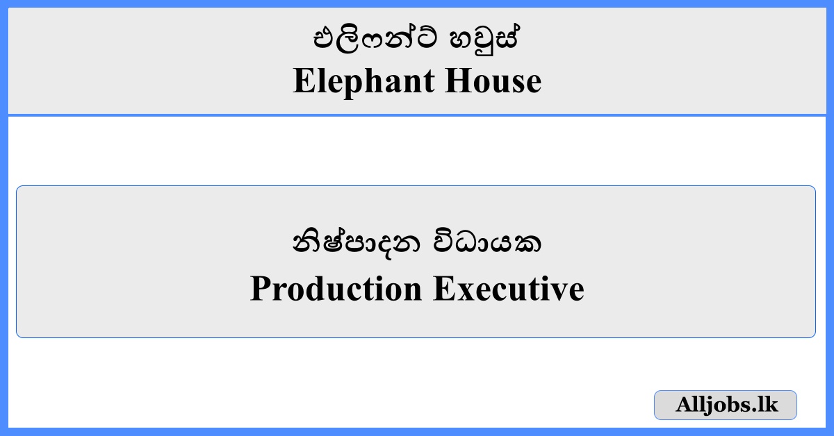 Production Executive - Elephant House