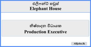 Production Executive - Elephant House