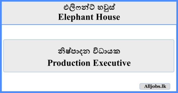 Production Executive - Elephant House