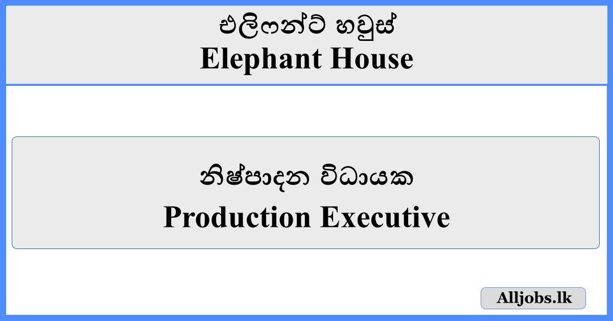 Production Executive - Elephant House