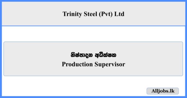 Production Supervisor - Trinity Steel (Pvt) Ltd