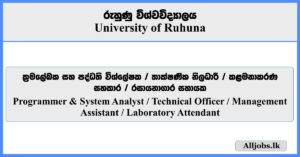 Programmer & System Analyst, Technical Officer, Management Assistant, Laboratory Attendant  - University of Ruhuna 2025