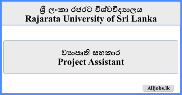 Project Assistant - Rajarata University
