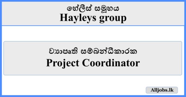Project Coordinator - Hayleys Group