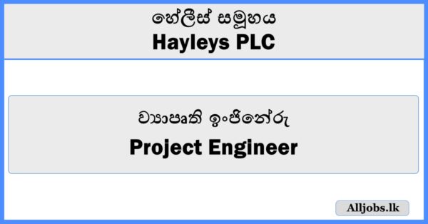 Project Engineer - Hayleys PLC