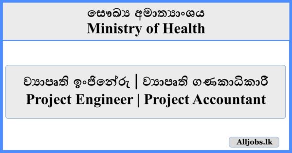 Project Engineer-Project Accountant - Ministry of Health-