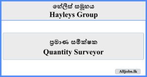Quantity Surveyor - Hayleys Group