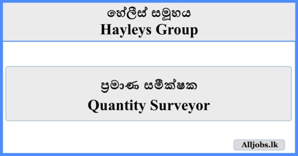 Quantity Surveyor - Hayleys Group