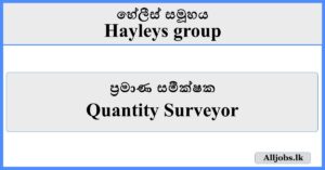 Quantity Surveyor - Hayleys Group