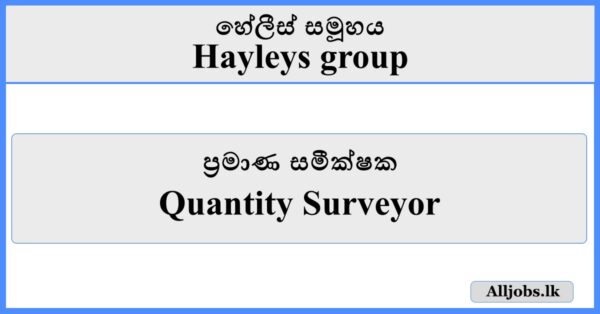 Quantity Surveyor - Hayleys Group