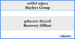 Recovery Officer - Hayleys Group