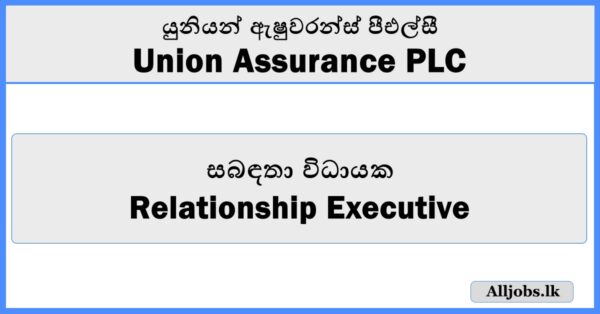 Relationship Executive - Union Assurance PLC