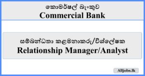 Relationship Manager/Analyst - Commercial Bank