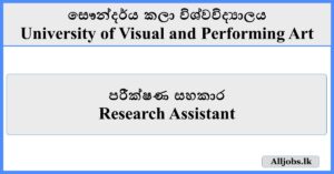 Research Assistant - University of Visual and Performing Art