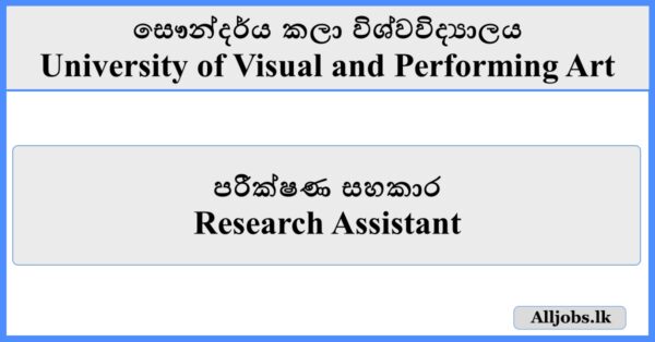 Research Assistant - University of Visual and Performing Art