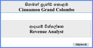 Revenue Analyst - Cinnamon Grand Colombo