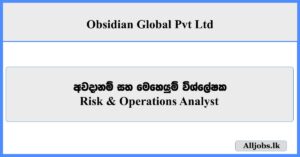 Risk & Operations Analyst - Obsidian Global Pvt Ltd