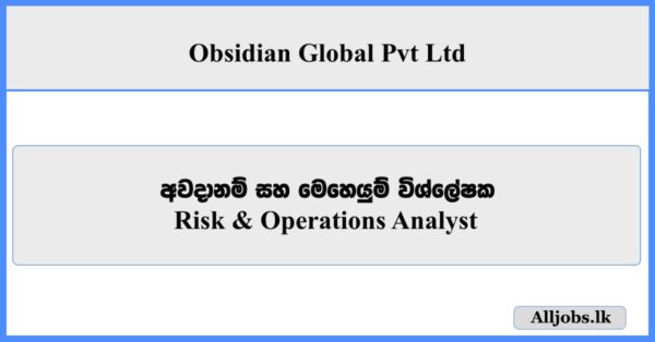 Risk & Operations Analyst - Obsidian Global Pvt Ltd