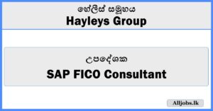 SAP FICO Consultant - Hayleys Group
