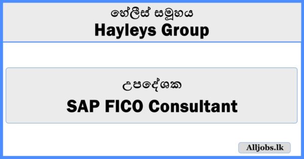 SAP FICO Consultant - Hayleys Group