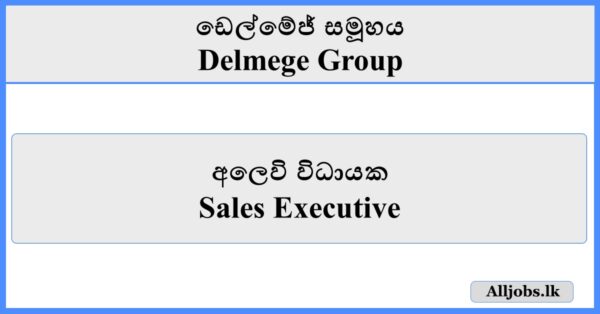 Sales Executive - Delmege Group