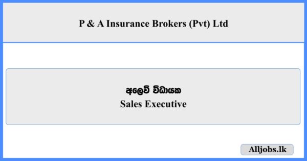 Sales Executive - P & A Insurance Brokers (Pvt) Ltd