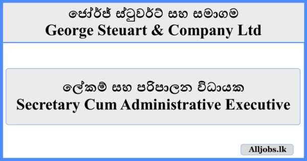 Secretary Cum Administrative Executive - George Steuart & Company Ltd